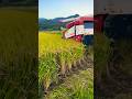 Looking back on rice making 一年を振り返る #agriculture #drone #rice #dji #tractor #ヤンマー #トラクター #田んぼ #田植え