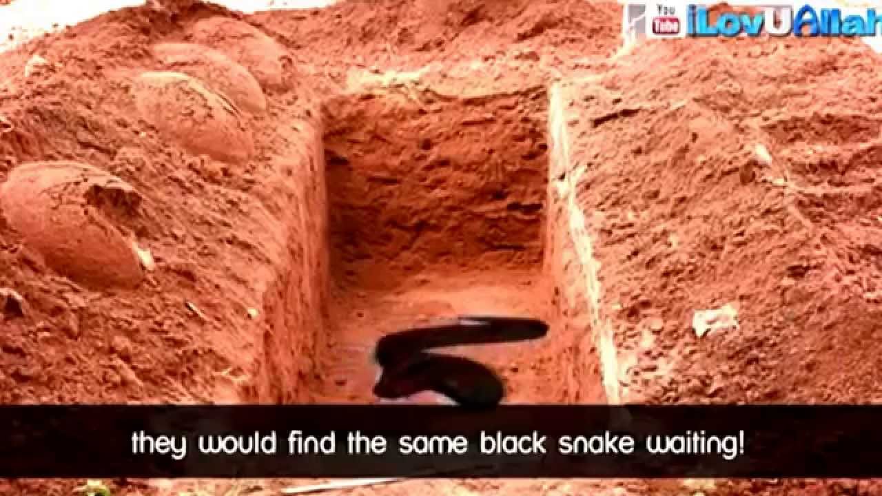 Black snake in the grave!