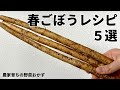 【レンジでできる】元農家おすすめ春ごぼうの美味しい食べ方５選｜やみつきサラダ｜浅漬け｜おつまみ｜作りおきOK