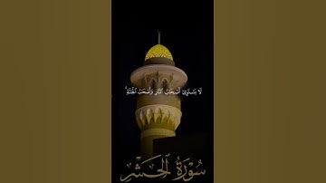 سورة الحشر🍃💚.