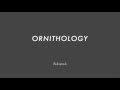 ORNITHOLOGY chord progression - Jazz Standard Backing Track Play Along