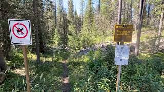 Yoho - Ottertail, McArthur Valley, O'hara, Cataract Brook - 486 - (08.23.25)