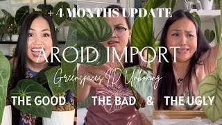 💚 GREENSPACES.ID IMPORT ✈️  Unboxing GONE WRONG  💔 and HOW they FIXED IT 💚 | + 4 MONTHS UPDATE