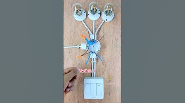 3 Gang switch wiring #electricalwiring #diy #electrical #lightswitch #electricalinstallation