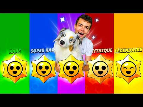 Mon CHIEN Choisit la RARETÉ de mon Brawler sur Brawl Stars