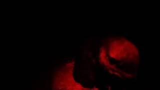 Pterodroma Gouldi Vocalizations