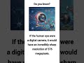 intresting fact about human eyes