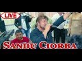 Sandu Ciorba - La Lechinta-i mare nunta - Live
