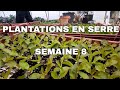 Vlog s8  marachage bio  la ferme de terre en 2023  permaculture agrocologie msv potager