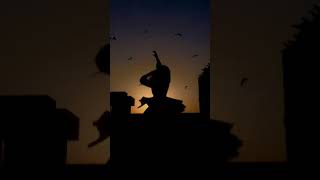 super dancer