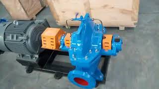 S double suction water pump