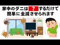 布団やクッションなど家中のダニを超簡単に駆除する方法　毎日を快適にするライフハック雑学