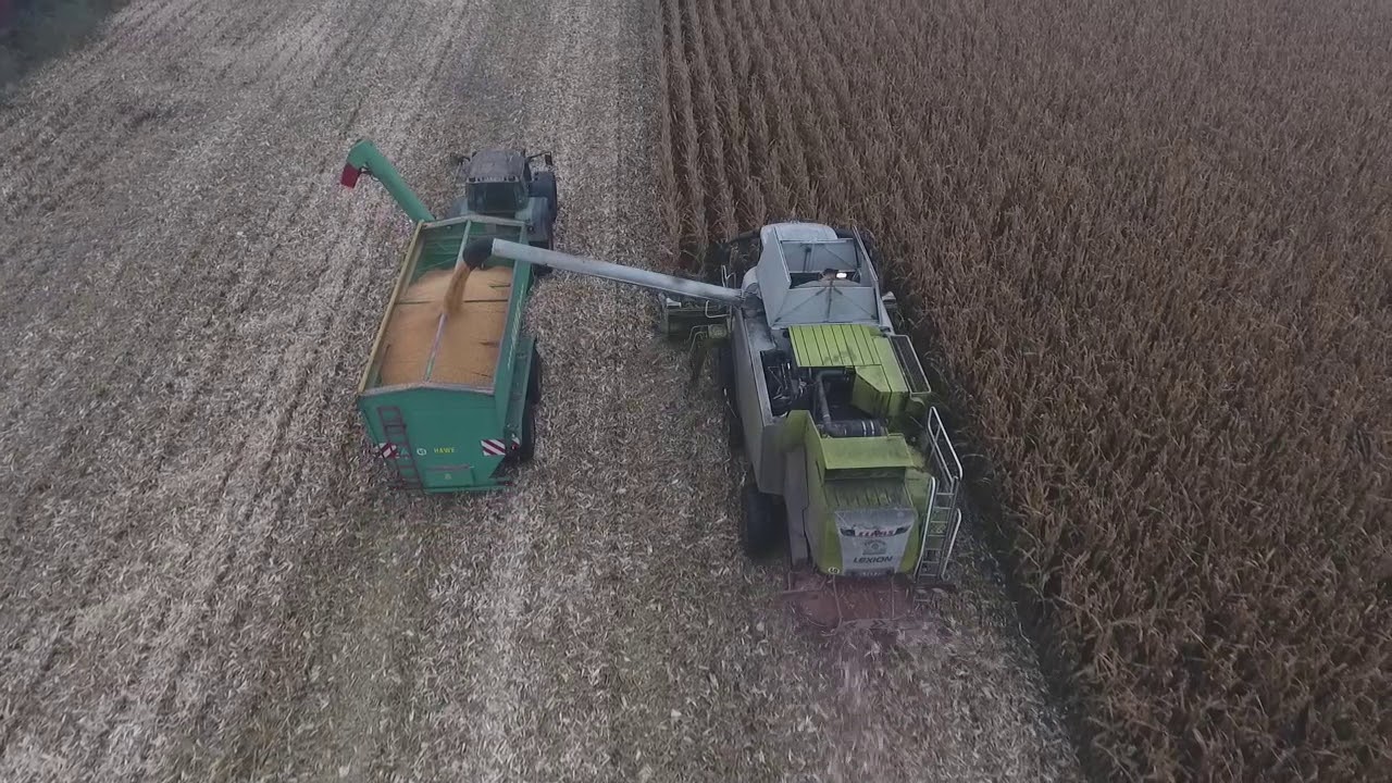 Harmes Pluimvee B.V. Klazienaveen.  Mais dorsen.