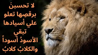 لا تأسفن علي غدر الزمان لطالما ! ..  #الشافعي