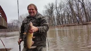 Quick Bite Catfish