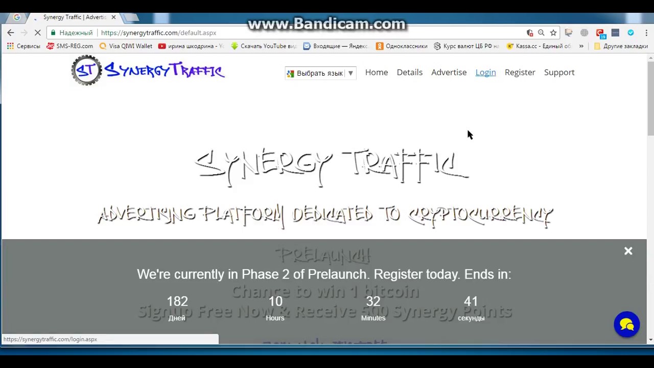 SynergyTraffic  вывод!Часть 1