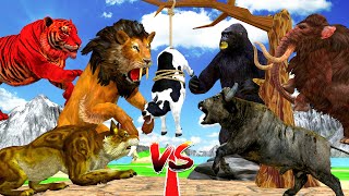 10 Big Bull vs 10 Monster Lion Mammoth vs 10 Zombie Tiger Wolf Attack Cow Buffalo Rescue By Mammoth