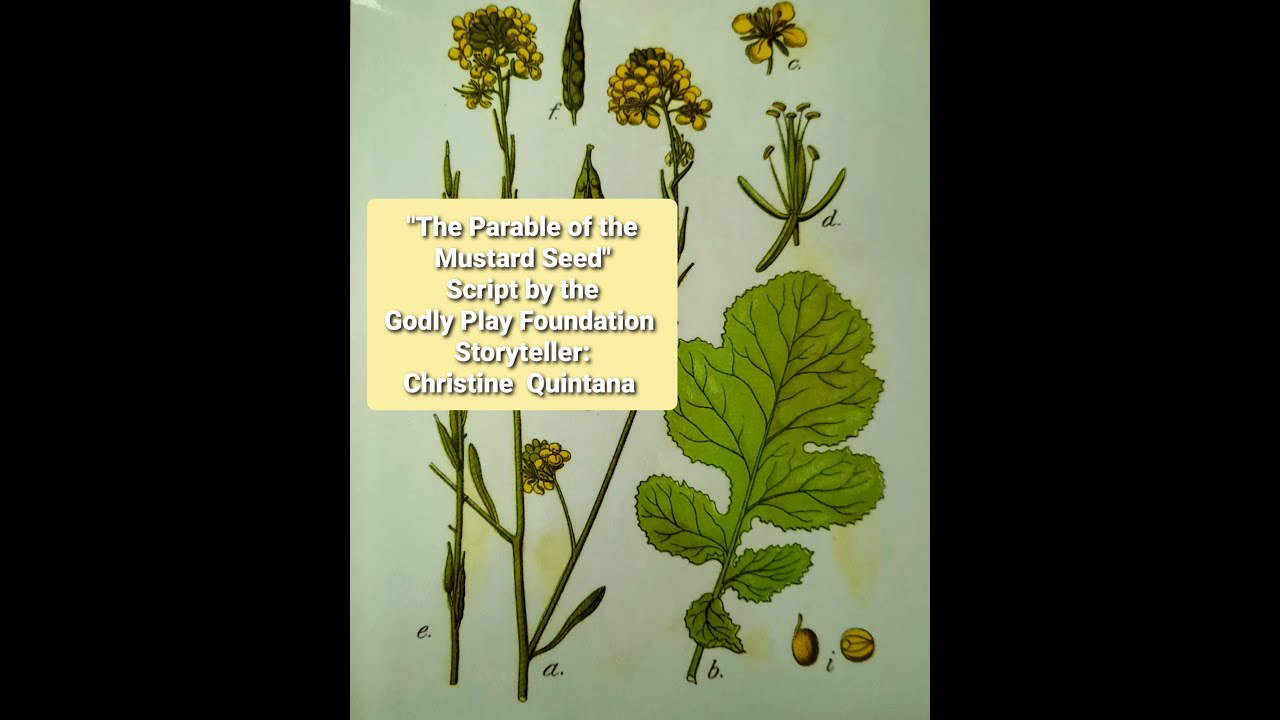 "The Parable of the Mustard Seed" A Godly Play Story - YouTube