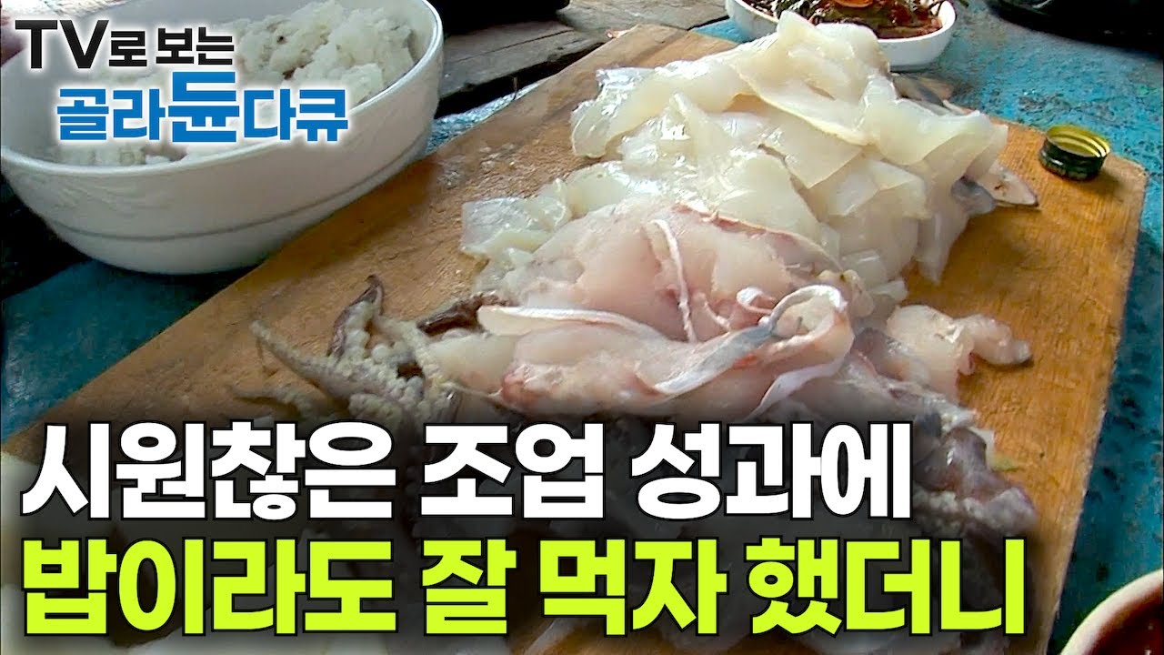 '한 그물에 1,000만 원' 잘 먹고 입 벌리니까 물밀듯 알아서 들어오는 물고기｜병어, 오징어, 아귀. 잡어는 모둠회로 ｜바다 위 108경원호｜만선 갈치잡이｜극한직업｜#골라듄다큐