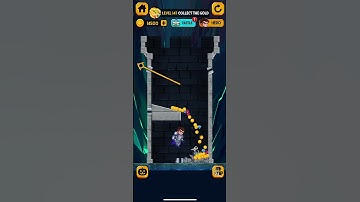 Rescue Hero Level 147