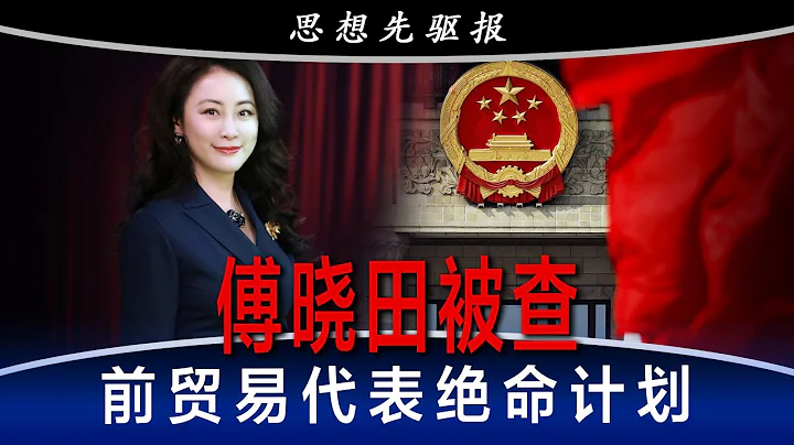 獨家：傅曉田被調查！經濟戰操刀手攜高危計劃捲土重來！萊特希澤新書引發巨大爭議｜思想先驅報（李其） - 天天要聞