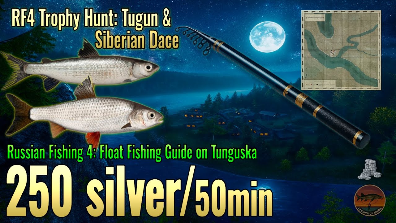 💸 250 SILVER / 45 MINS! Siberian Dace & Tugun Spot 🎣 Russian Fishing 4