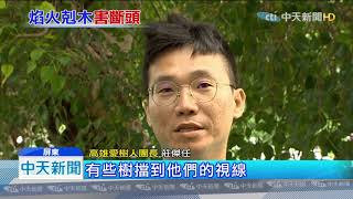 20191007中天新聞　擋到國慶煙火視野　45棵大樹遭斷頭
