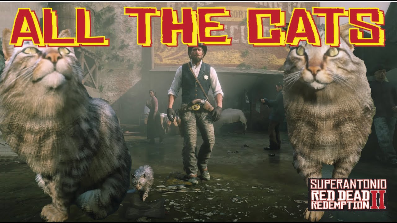 Visiting All of The Cats in Red Dead Redemption 2, With Locations YouTube