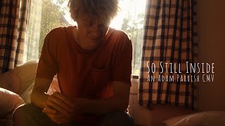 So Still Inside (an Adam Parrish CMV; The Raven Cycle)