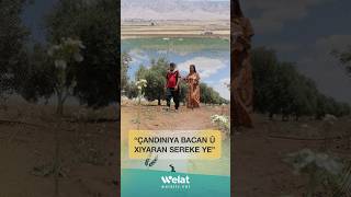 Tîma Bernameya Cotyar Li Nava Zeviyeke Keskatiyê Li Gundewarê Dirbêsiyê Ye