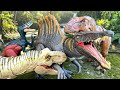 Jurassic World Unboxing Review Asmr Colorful Dinosaur T-rex Spinosaurus Mosasaurus Triceratops Truck