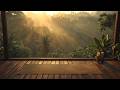 Jungle Awakening: 1 Hour of Deep Yoga Music & Morning Sun rays