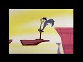The Road Runner Breaks The Laws Of Gravity