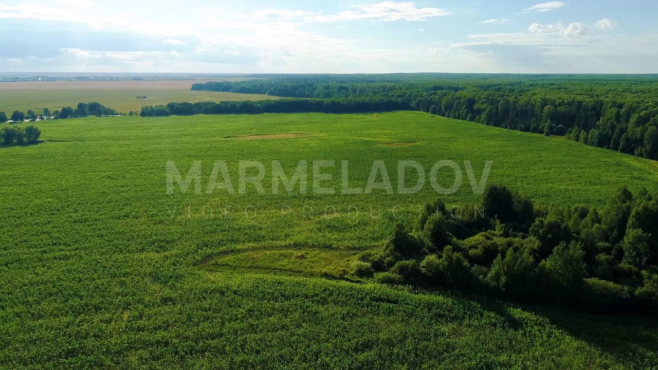 Aerial view over green fields in the summer day - 4K, Full HD Stock Drone Video Footage
