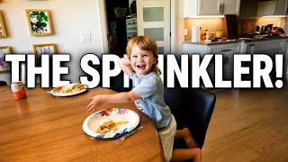 Shepherd dances better than me... | Daily Vlog #6