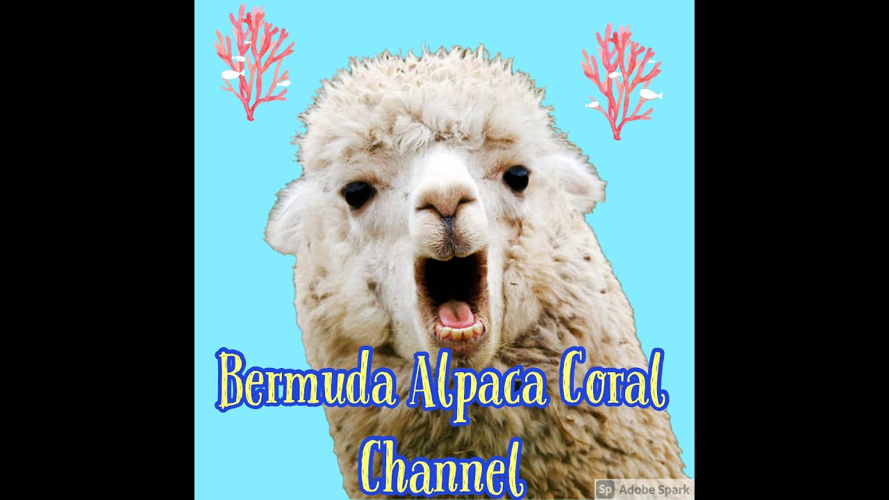 ReefBrite Lumi-Lite Antic Blue LED