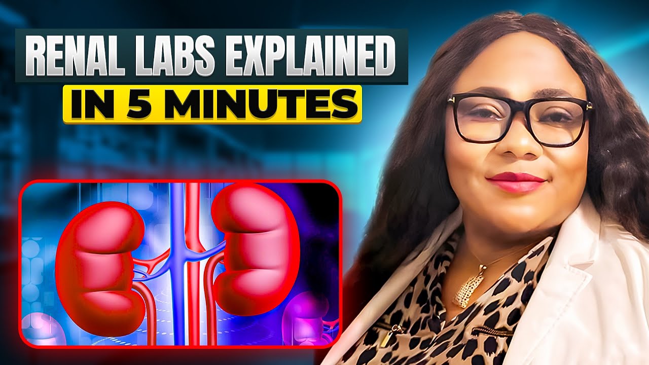 Functions of the kidney and the renal labs