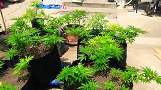 View of the ladies today 6/12/19