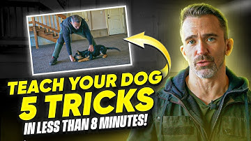 Learn to Teach Your Dog 5 Command in Less Than 8 Minutes!