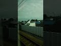 君が好きだと叫びたい