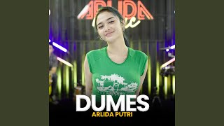 Dumes