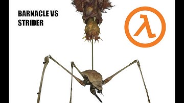 Barnacle vs Strider [HALF LIFE 2]