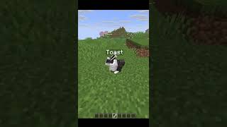 Coole Minecraft Fakten #minecraft #gaming#facts #cool #deutsch