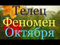 Телец ♉️ Октябрь 2020 г/Самый Подробный Таро-прогноз...