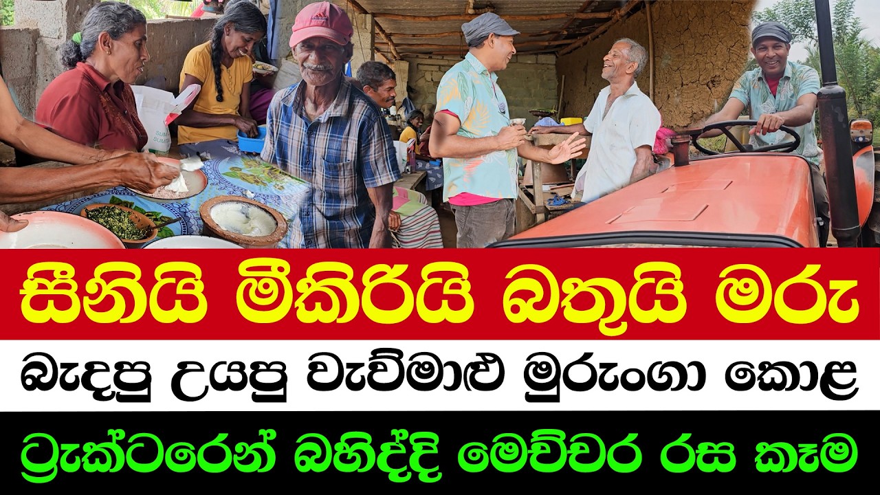 Rice with Curd & Sugar – Surprisingly Delicious