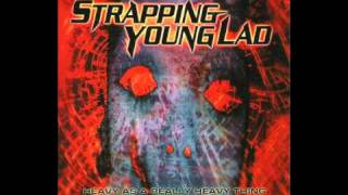 Vignette de la vidéo "Strapping Young Lad - Skin Me"