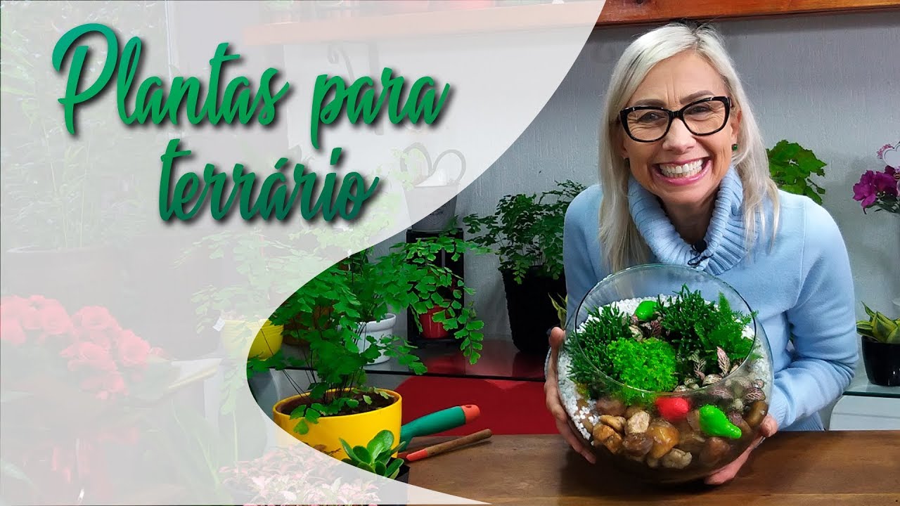 🍀As melhores plantas para terrário aberto | Flávia Kremer 🍀🌸💚