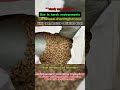 Electronic wastes pyrolysis furnace#charcoalstove#aluminum#copper#recycling#carbonation#fyp#fypシ゚