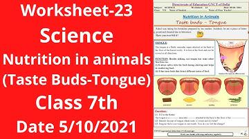 Worksheet 23 Science class 7(5/10/21)English Med/worksheet Science class 7/Science worksheet23class7