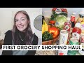 GROCERY SHOPPING HAUL FOR MY NEW APARTMENT | healthy & affordable grocery haul 2020